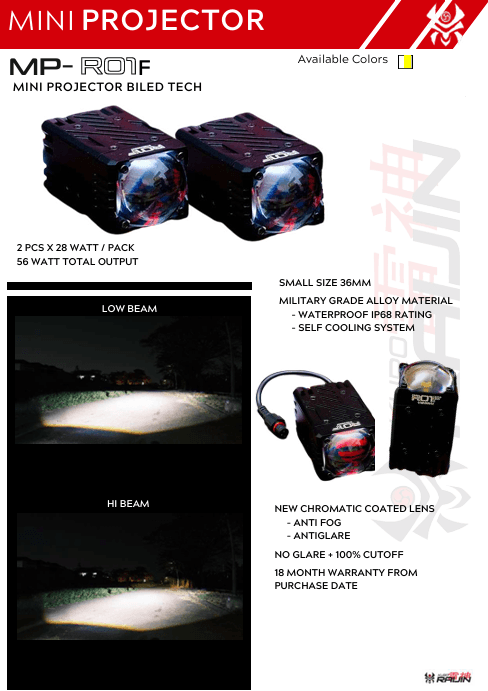 MINI PROJECTOR R01 F